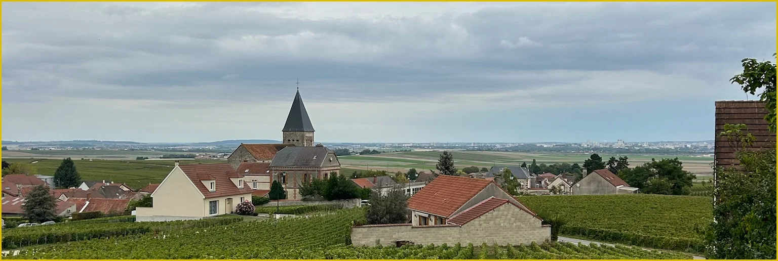Landscape surrounding champagne region Sacy