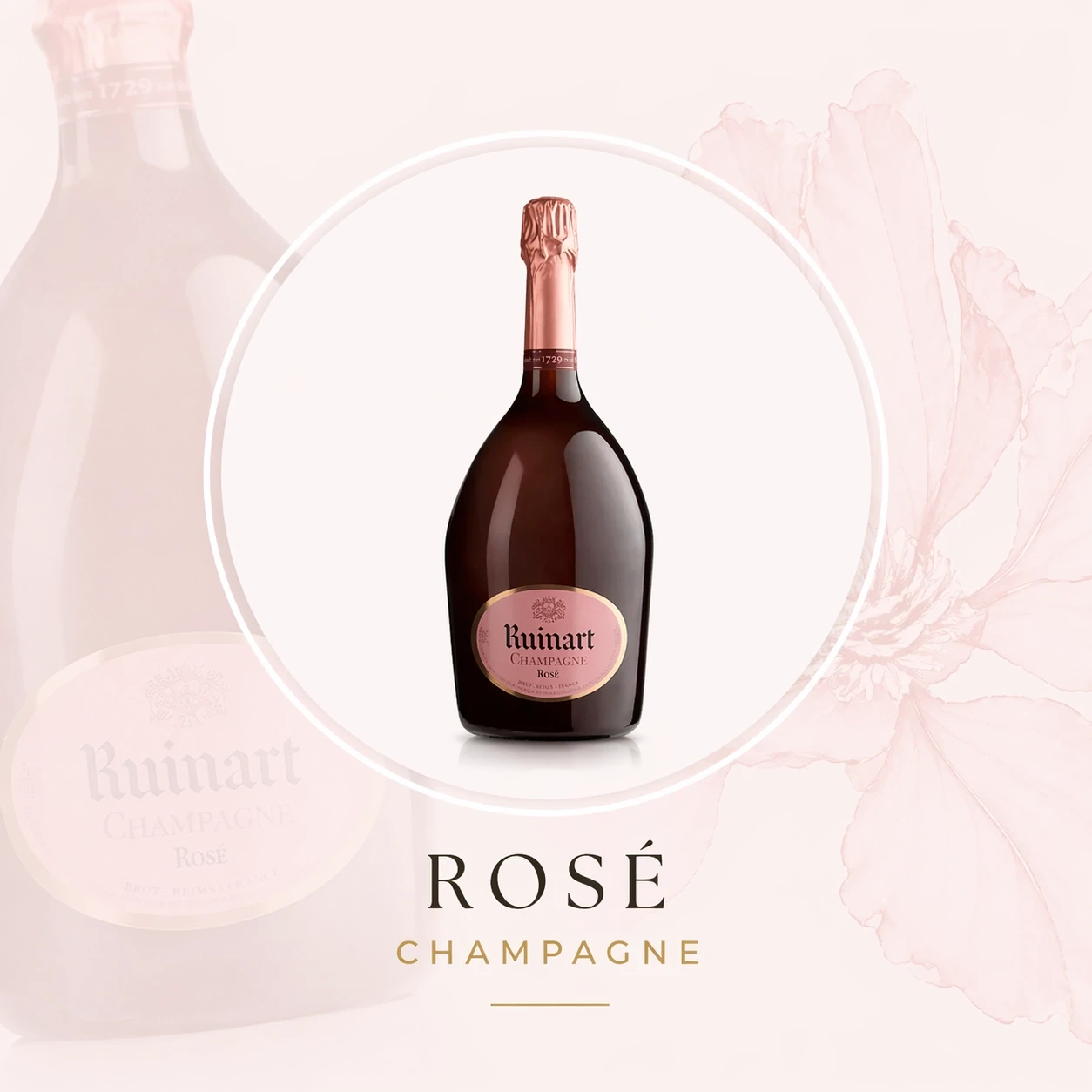 Illustration of rose champagne