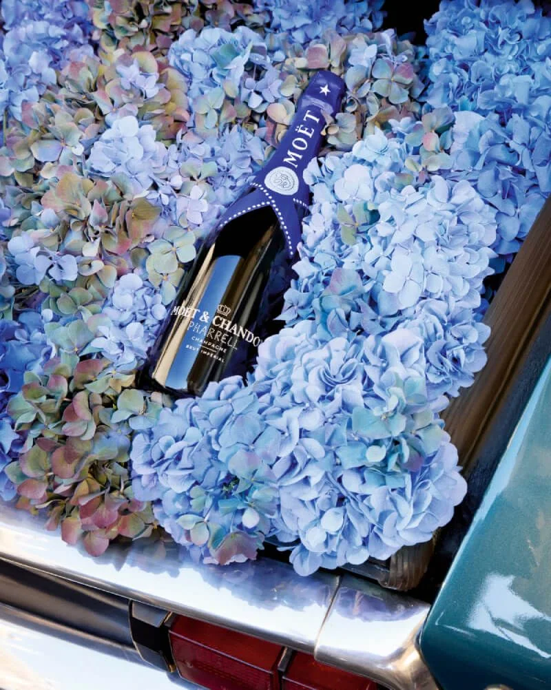 Moët & Chandon Pharrell Limited Edition champagne bottle surrounded by blue hydrangea flowers